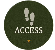 Access