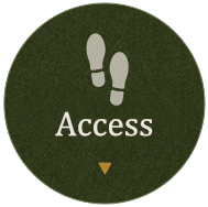 ACCESS